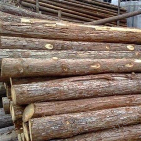 绿化杉木桩出售 胜洁木业 园林绿化杉木桩护岸