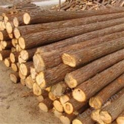 泰州杉木桩批发 河道杉木桩出售 扬州杉木桩直径