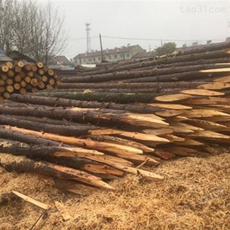 上海杉木桩 驳岸杉木桩图片 胜洁木业