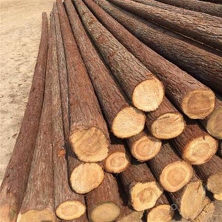 防洪杉木桩 10米杉木桩出售 胜洁木业