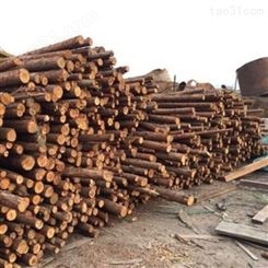 防汛杉木桩直径 北京杉木桩图片 胜洁木业