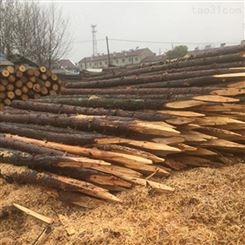 胜洁木业 防汛杉木桩护岸 2米杉木桩
