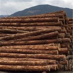 无锡杉木桩批发 景观杉木桩销售 胜洁木业