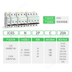 施耐德电气 微型断路器 A9F18210 IC65 2P C 10A IC65N系列