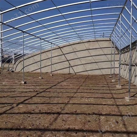 椭圆钢管建13米跨度蔬菜大棚造价多少钱