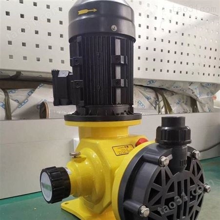 双缸计量泵 DZ柱塞式计量泵 柱塞式计量泵生产制造