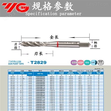 东莞销售进口韩国YG丝攻 含钴高速钢螺旋丝攻 T2829丝攻  YG丝锥
