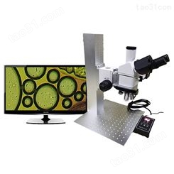 微特视界【电动金相显微镜】 带测量金相显微镜 金相测量仪