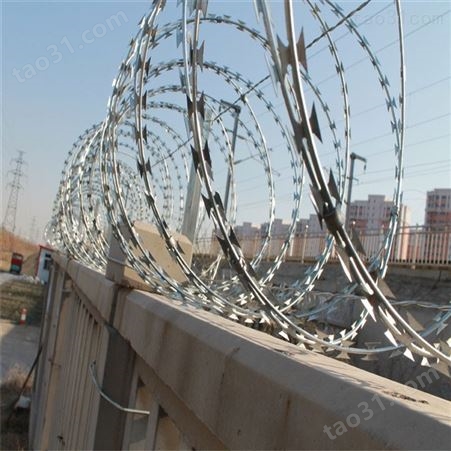 围墙防攀爬刺 螺旋式刺笼铁丝网西润制造