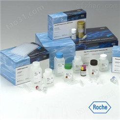 大鼠α白蛋白（AFM）ELISA试剂盒