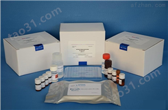 豚鼠干扰素γ（IFNγ）ELISA试剂盒